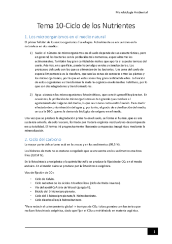 Tema-10-Ciclo-de-los-nutrientes.pdf