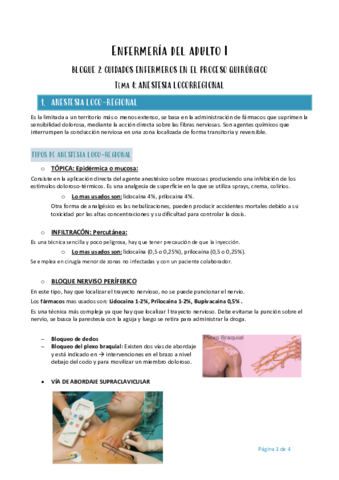Enfermeria-del-adulto-I-tema-4.pdf