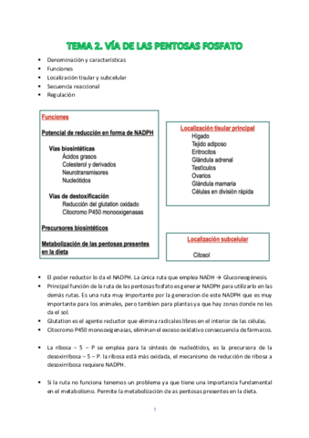 TEMA-2.pdf