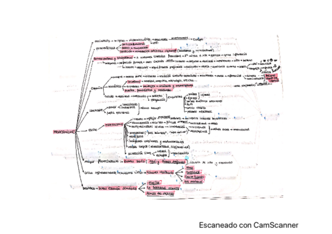 Esquemas-literatura-2bach.pdf