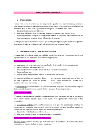 Tema-3-CAPACIDAD-ESTRATEGICA.pdf