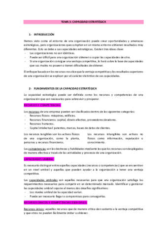 Tema-3-CAPACIDAD-ESTRATEGICA.pdf