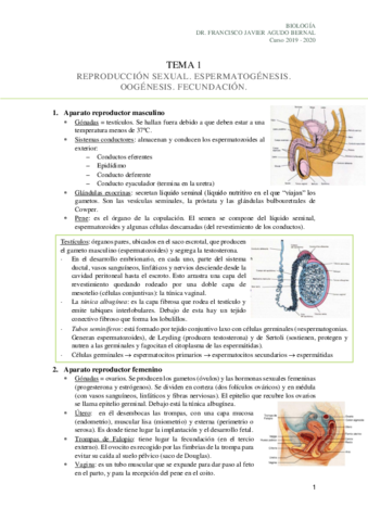 Tema-1-REPRODUCCION-SEXUAL.pdf