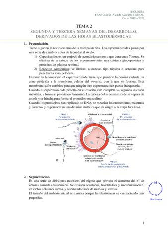 Tema-2-Segunda-y-tercera-semanas-del-desarrollo.pdf