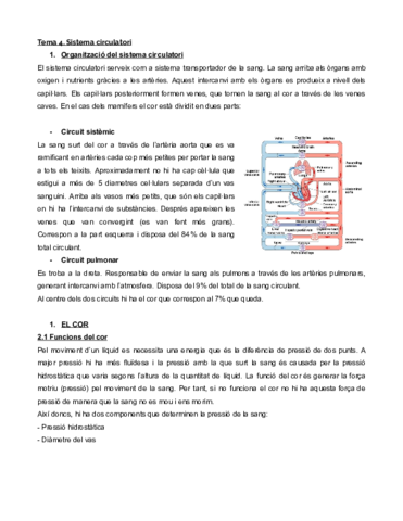 Sistema-circulatori-1.pdf