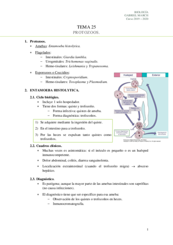 Tema-25.pdf