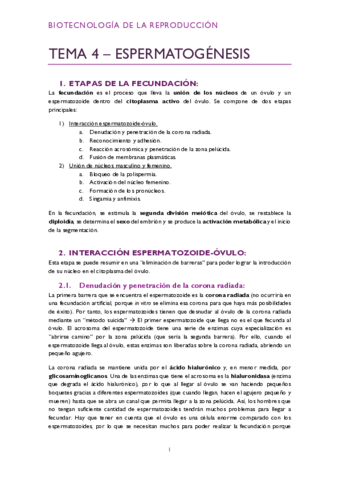 Tema-4-pdf.pdf