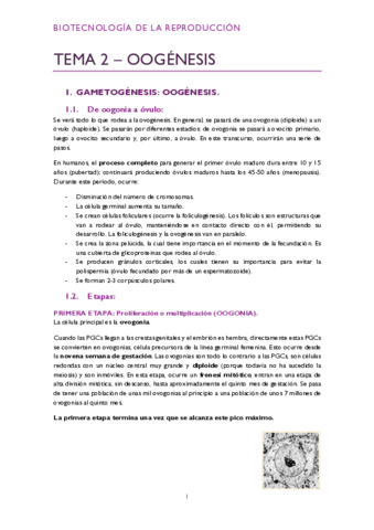 Tema-2-pdf.pdf