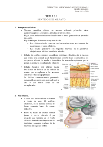 Tema-2.pdf