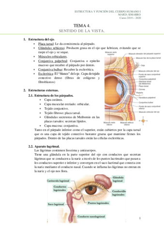 Tema-4.pdf