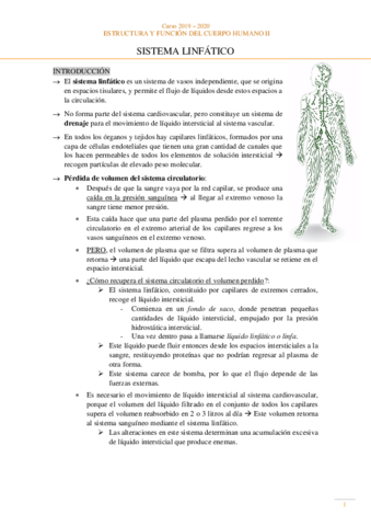 Anatomia Sistema Linfatico Pdf