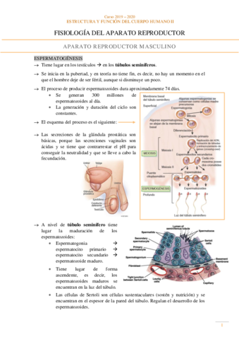 Fisiologia-Aparato-reproductor.pdf