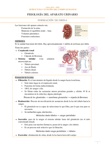 Fisiologia-Aparato-urinario.pdf