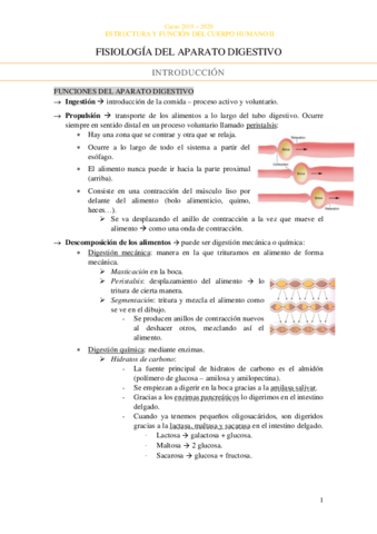 Fisiologia-Sistema-digestivo.pdf