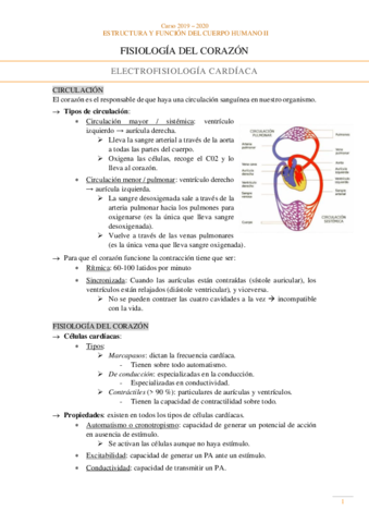 Fisiologia-Sistema-cardiovascular.pdf