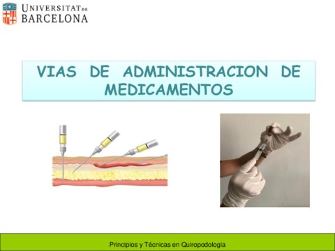 VIES-DADMINISTRACIO-DE-MEDICAMENTS.pdf