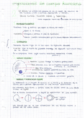 TEMA-1-BIOLOGIA-3o-ESO-1.pdf