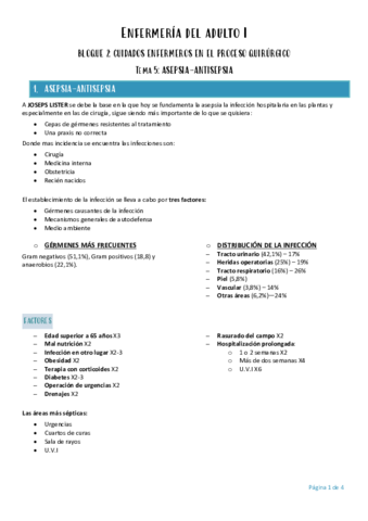 Enfermeria-del-adulto-I-tema-5.pdf