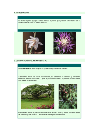 Miniatura del documento Resumen-Plantas.pdf