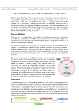 Tema 1. Principios fundamentales VSM.pdf