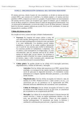 Tema 2. Sistema Nervioso VSM.pdf