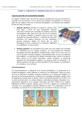 Tema 3. Sinapsis VSM.pdf