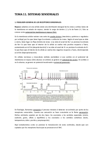 TEMA-11.pdf