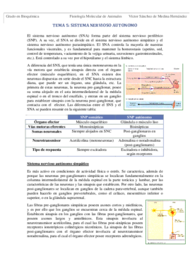 Tema 5. Sistema nervioso autónomo VSM.pdf