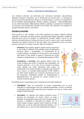 Tema 6. Sistemas sensoriales VSM.pdf