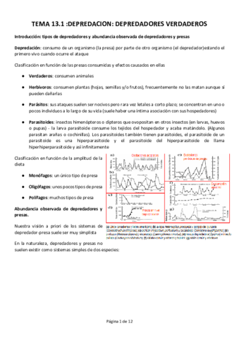 TEMA-13.pdf