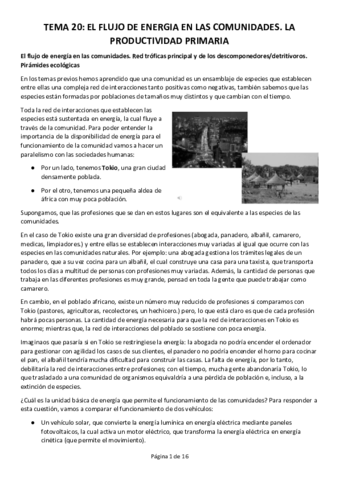 TEMA-20.pdf