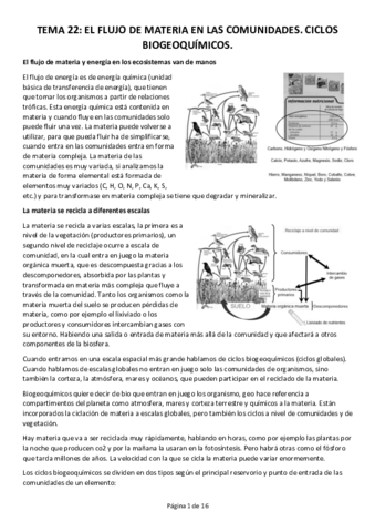TEMA-22.pdf