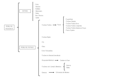 Esquema-Problemas-Psicoticos-TEMA-3.pdf