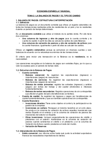 TEMA-2-EEM.pdf