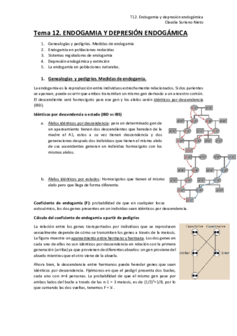 T12-BC.pdf