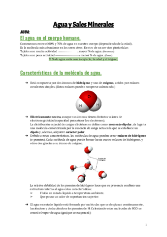Agua-y-sales-minerales.pdf
