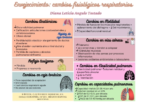 Envejecimiento-Respiratorio.pdf