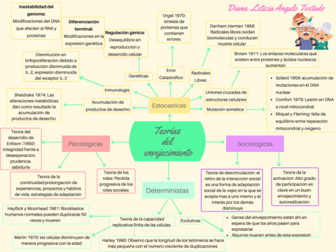 Teorias-del-envejecimiento.png
