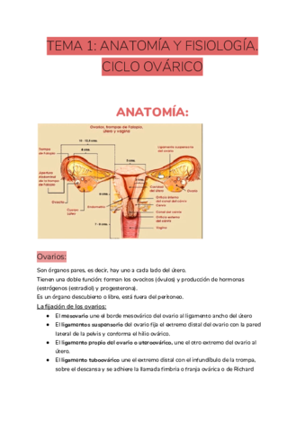 TEMA-1-ANATOMIA-Y-FISIOLOGIA.pdf