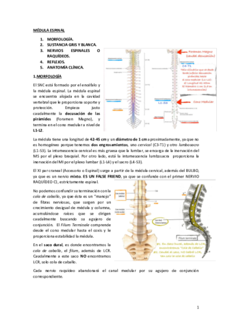 tema3.pdf