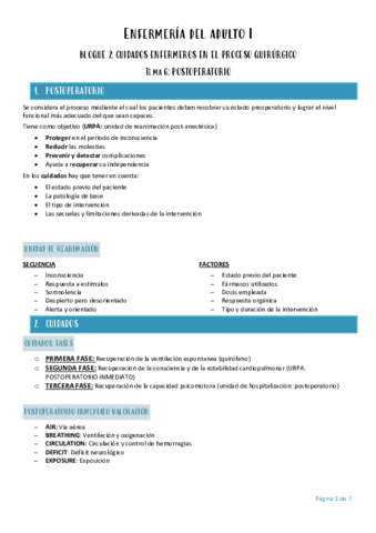 Enfermeria-del-adulto-I-TEMA-6.pdf