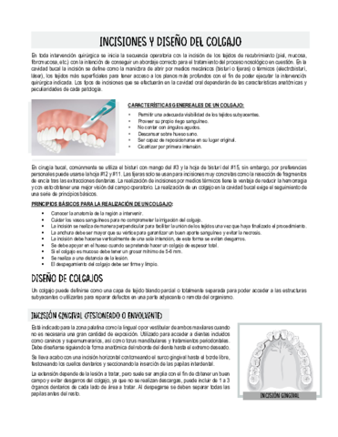 Incisiones-y-Diseno-de-colgajo.pdf