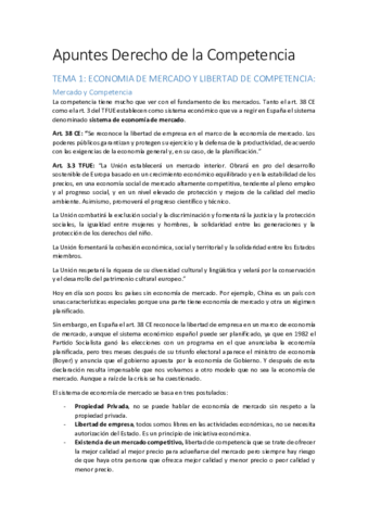 Apuntes Derecho de la Competencia.pdf