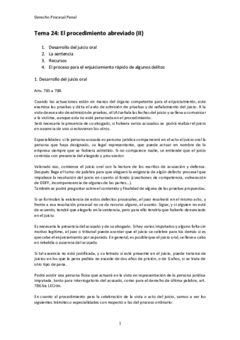 Tema-24.pdf