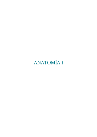 ANATOMIA-I-EXTREMIDAD-INFERIOR.pdf