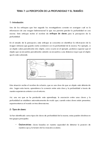 Tema-7-M.pdf
