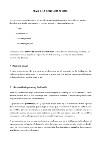 Tema-7-P.pdf
