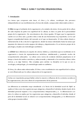 Tema-2-P.pdf