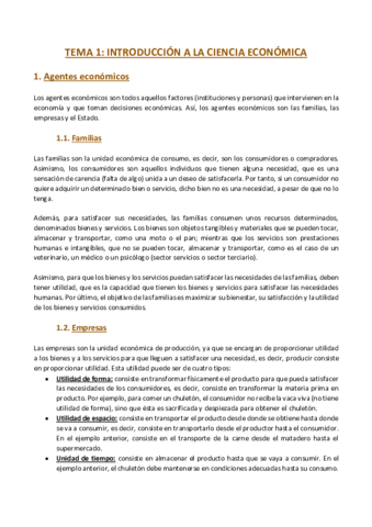 TEMA-1-Economia.pdf