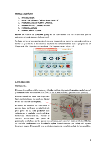 tema4.pdf